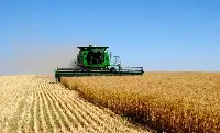 Grano in Kazakistan