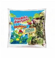 Insalata Divertente DimmidiSì