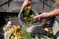 Spreco alimentare