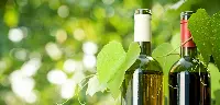 Vino biologico Made in Italy