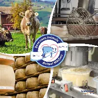 DalterFood Group_Benessere animale