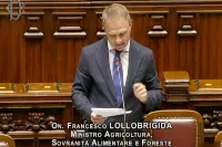 Il ministro dell'Agricoltura, della Sovranità Alimentare e delle Foreste, Francesco Lollobrigida, risponde al question time alla Camera dei Deputati (5 aprile 2023)