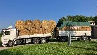 Uno dei numerosi autocarri carico di balloni di paglia diretto al Centro di stoccaggio di Savio di Ravenna allestito da Araer