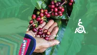 Speciality coffee association