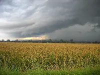 agricoltura