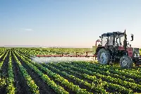 Un terreno agricolo