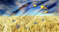 Bandiera d'Europa su un campo di grano di agricoltura europea