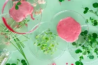 Carne sintetica