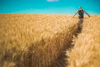 Ukrainian Agrarian Fund
