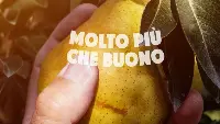 “Yoga, molto più che buono”, ultimo spot Yoga