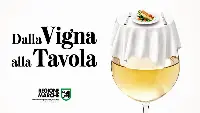 Regione Marche: "Dalla vigna alla tavola"