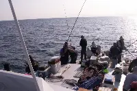 Pesca