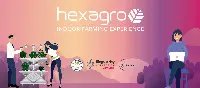 startup Hexagro