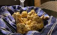 Tartufo Bianco d'Alba - Fiera del tartufo 2022