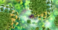Nuovo Coronavirus Covid-19