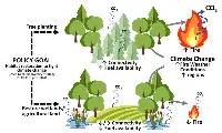 Europe fires_Green Deal_CREAF