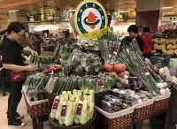 bio cina