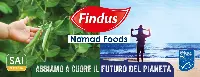 Nomad Foods Findus