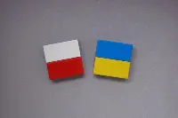 Bandiere Polonia e Ucraina