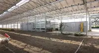 Bugsfarm di Bef Biosystems