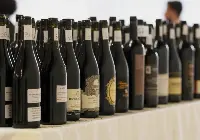 Amarone Opera prima
