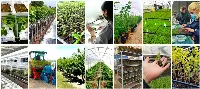 Salone Vivaismo Macfrut 2023