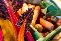Verdure bio