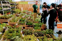 Fiera di vita in campagna