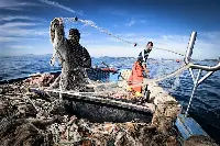 Piccola pesca