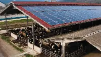 Un esempio di impianto fotovoltaico in zootecnia