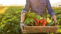 Raccolto agroalimentare