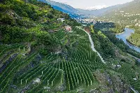 I terrazzamenti della Valtellina