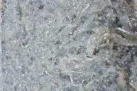Novellame di sarda (bianchetti)