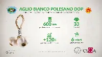 Scheda Aglio Bianco Polesano