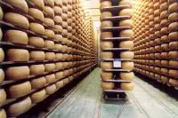 Parmigiano reggiano
