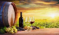 Filiera del vino