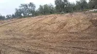 Campagna, Ulivi, Terreno