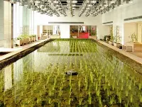 Acquaponica