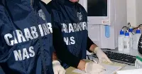 nas-carabinieri