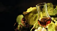 Degustazione di grappa