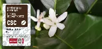 bollino Csc, Caffè Speciali Certificati
