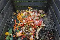 Rifiuti alimentari