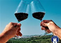 Vino Morellino di Scansano Toscana Docg
