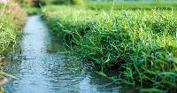 Corso d'acqua superficiale