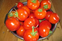 Pomodori