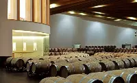 cantina Pernod Ricard