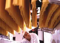 barilla industria