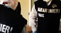 Ispezione dei Carabinieri del Nas di Reggio Calabria