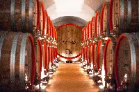 Tommasi Family Estates cantina Magnifica