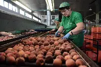 Produzione cibo